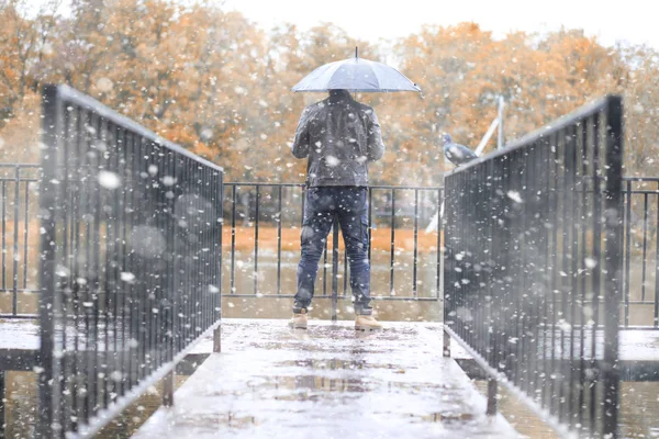 Podzimní Park Dnech Prvního Sněhu — Stock fotografie