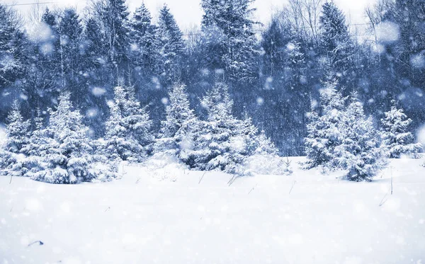 हिवाळी दिवशी लँडस्केप — स्टॉक फोटो, इमेज