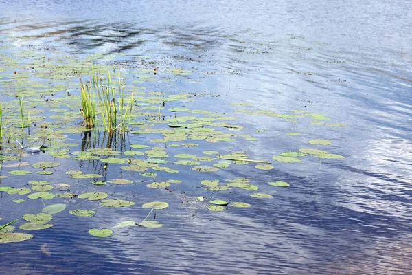 Doku suyunun dalgalanmalarını kapat