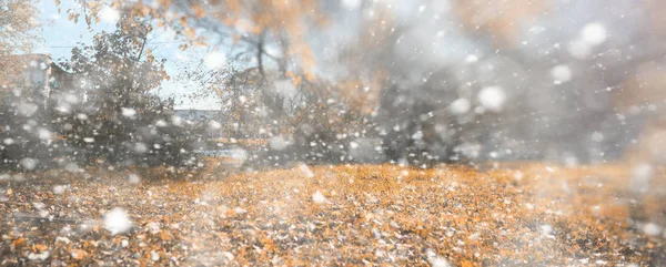 Pozadí podzimní park v prvním sněhu — Stock fotografie