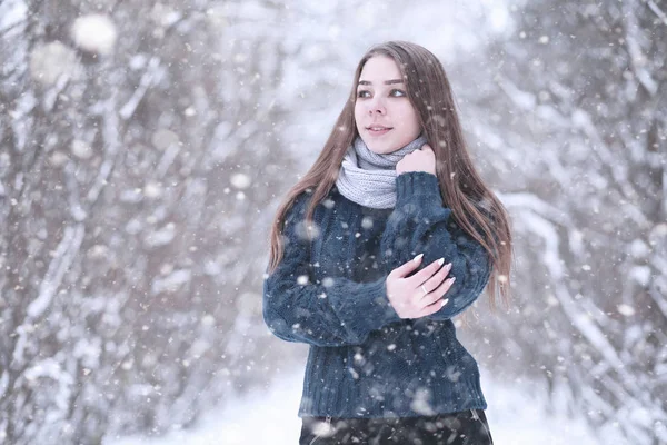 在雪地里的冬季公园里的女孩 — 图库照片