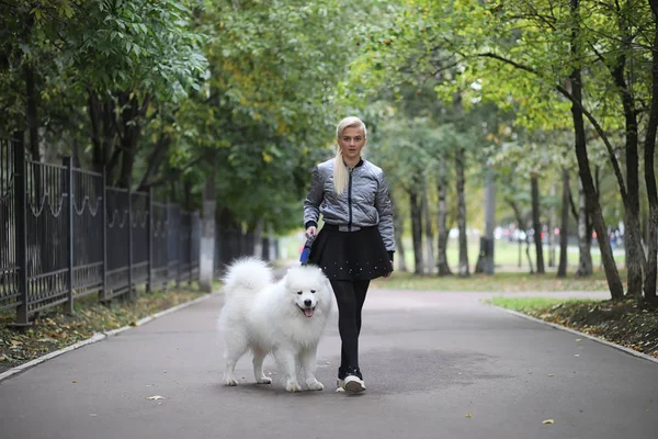 Härlig flicka på promenad med en vacker hund — Stockfoto