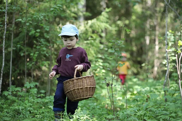 Les enfants vont dans la forêt pour les champignons — Photo