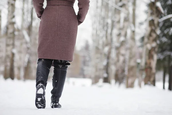 Mladá dívka ve winter parku na procházku. Vánoční svátky v t — Stock fotografie