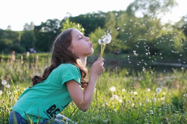 Bir bahar parkta bir karahindiba çiçek tohumlarından üfleme teen