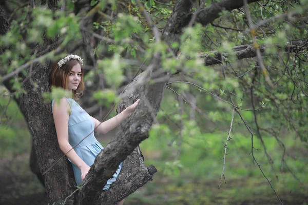 Girl in blue dress in green park — Stock Photo, Image