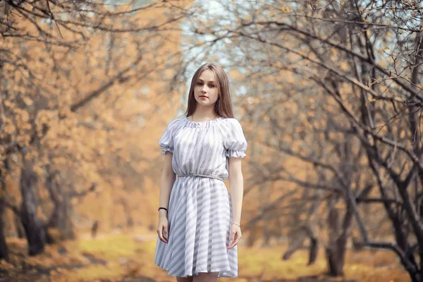 Ung Flicka Promenad Höst Par — Stockfoto