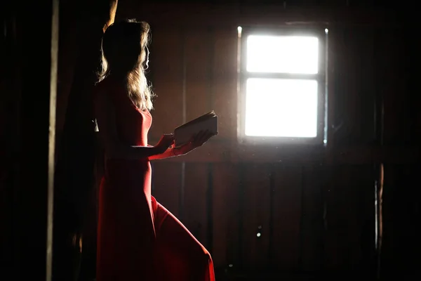 赤いドレスを着た美しい少女のシルエット — ストック写真
