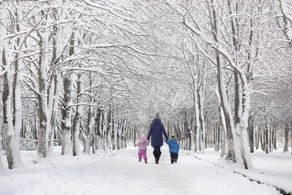 Pokryte śniegiem zima park i ławki. Park i molo do karmienia — Zdjęcie stockowe