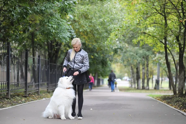 Härlig flicka på promenad med en vacker hund — Stockfoto