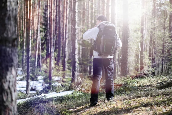 男は、バックパックと松の森の観光です。A tr をハイキング — ストック写真