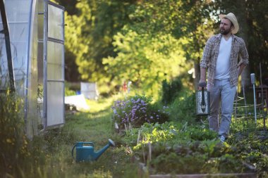 Adam çiftçi sebze Bahçe sulama