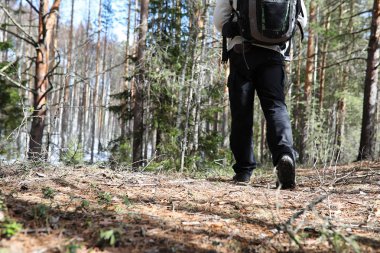 Bir turist bir çam ormanı ile bir sırt çantası içinde bir adamdır. A tr hiking