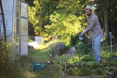 Adam çiftçi sebze Bahçe sulama