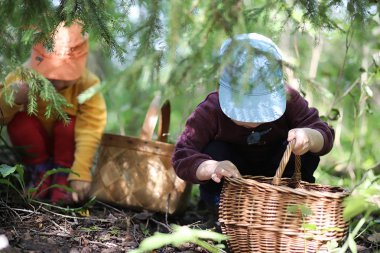 Çocuklar mantar aramak için en yakın ormanda bir yürüyüşe çıktılar.