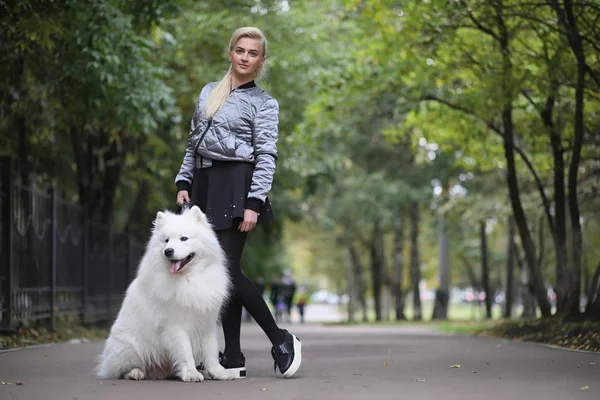Lovely girl on a walk with a beautiful dog — Stock Photo, Image