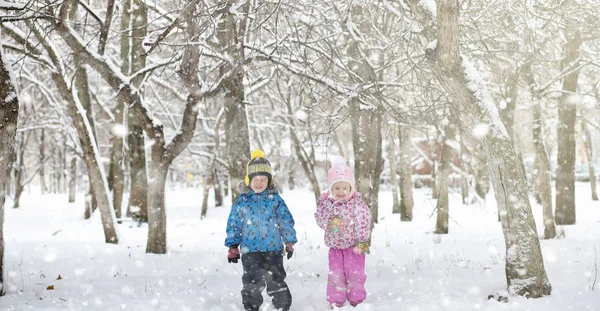 Parco invernale sotto la neve. Una tempesta di neve nel parco cittadino. Parco f — Foto Stock