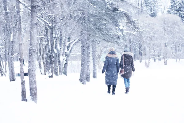 美丽的女孩在美丽的冬天雪 — 图库照片