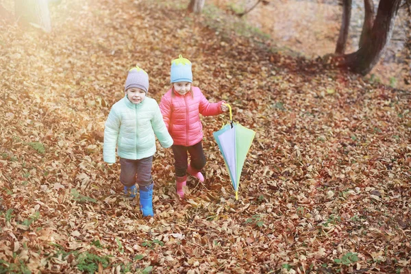 子供たちは秋の公園で歩く — ストック写真