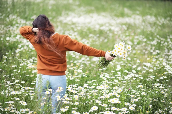 Gadis cantik mengoleksi aster di bidang musim panas — Stok Foto