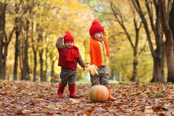 Les enfants marchent dans la nature. Les enfants du crépuscule se promènent — Photo