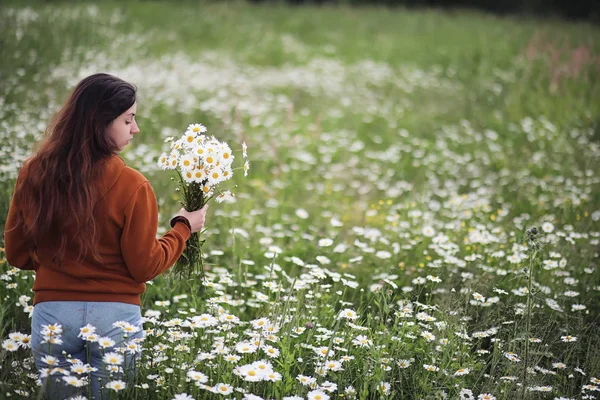 Gadis cantik mengoleksi aster di bidang musim panas — Stok Foto