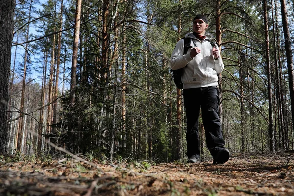 Člověk je jako turista v borovém lese s batohem. A turistické tr — Stock fotografie