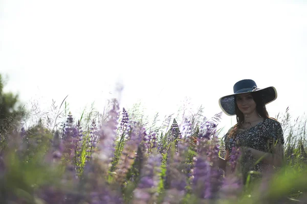 Ragazza incinta in un campo con lupini — Foto Stock