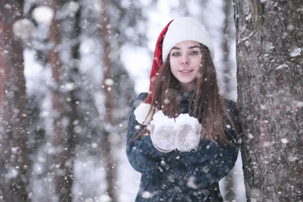 Chica en un parque de invierno en las nevadas — Foto de Stock