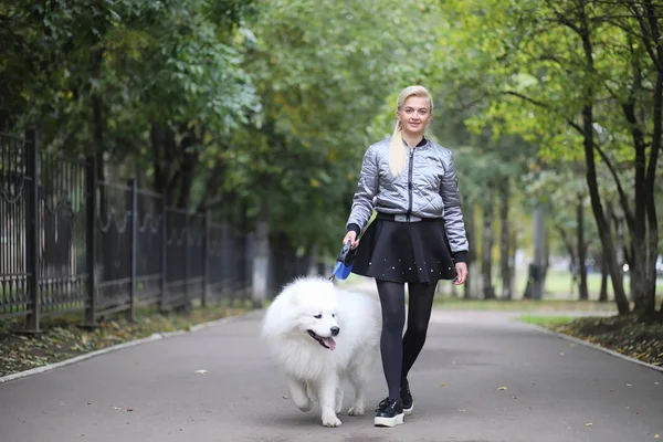Любимая девушка на прогулке с красивой собакой — стоковое фото