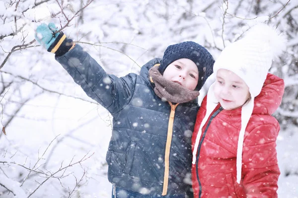 Çocuklar parkta ilk kar yürümek — Stok fotoğraf