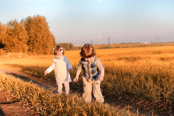 Діти на відкритому повітрі в полі — стокове фото