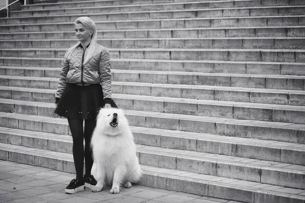 Menina encantadora em um passeio com um belo cão — Fotografia de Stock