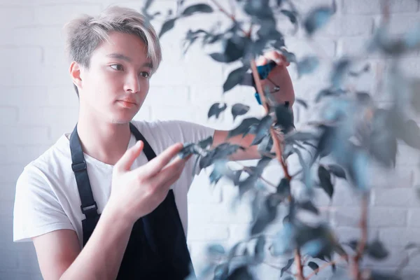 Joven asiático chico toma el cuidado de las plantas — Foto de Stock