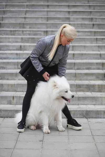 Menina encantadora em um passeio com um belo cão — Fotografia de Stock