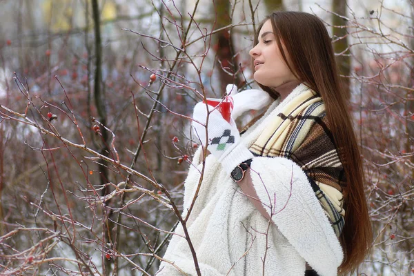 Jovem menina bonita no inverno dia nevado — Fotografia de Stock