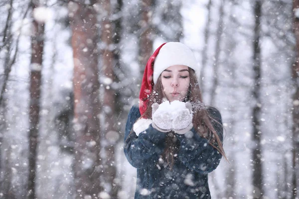 Menina em um parque de inverno na queda de neve — Fotografia de Stock