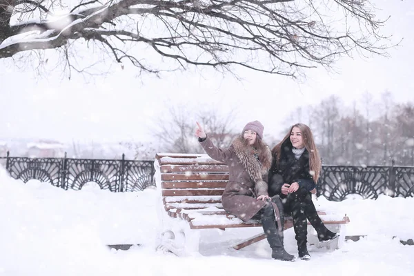 Chica en un parque de invierno en las nevadas —  Fotos de Stock