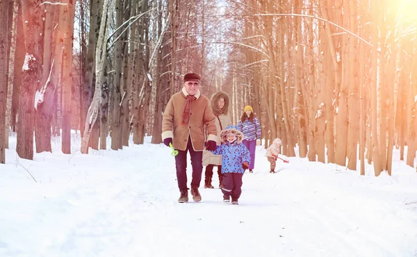 Parque de invierno bajo la nieve. Enero mañana caminar a través de la para — Foto de Stock