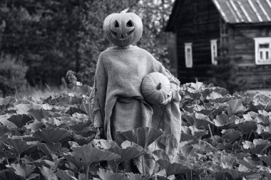 Kafası kabaktan oyulmuş.