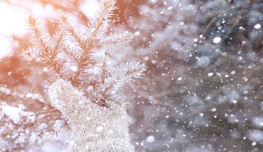 Kış manzara kar expanses kaplı. Kışın bir parkta 