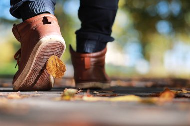 Parkta sonbahar arka plan