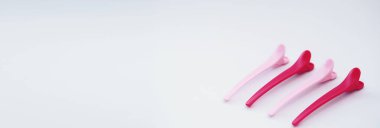 Renkli erkek curlers ve saç pins