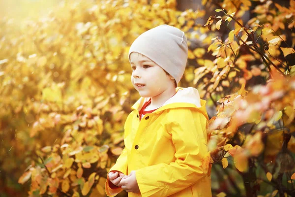 Les enfants marchent dans le parc d'automne — Photo