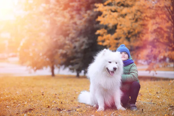 屋外の公園で美しい犬との散歩に素敵な女の子 — ストック写真