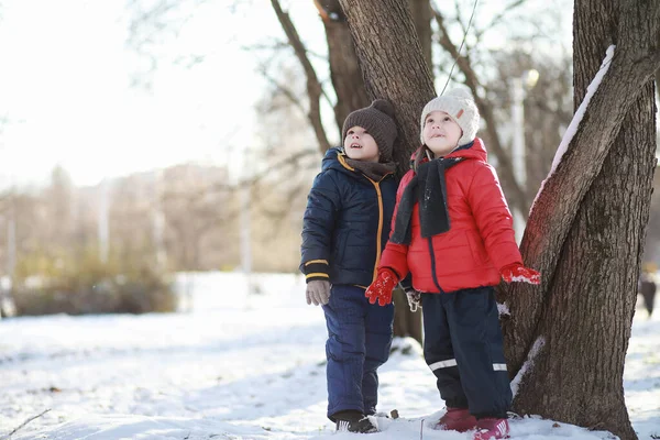 Simpatici Bambini Abiti Caldi Che Giocano Nel Parco Invernale — Foto Stock