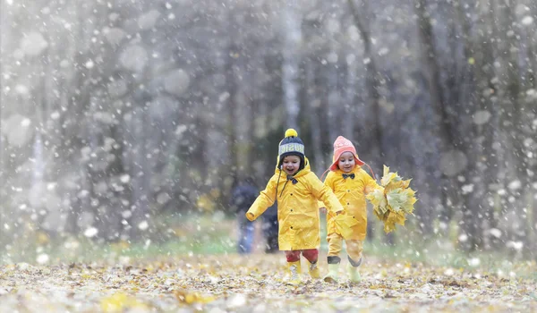 Los niños pequeños en un paseo por el parque de otoño. La primera helada y la primera —  Fotos de Stock