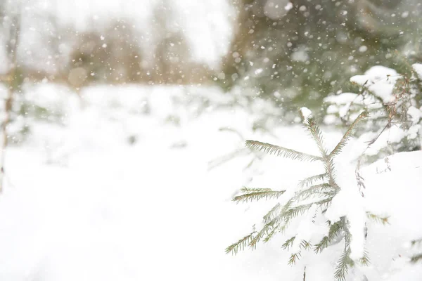 Paesaggio invernale di campi e strade di campagna — Foto Stock