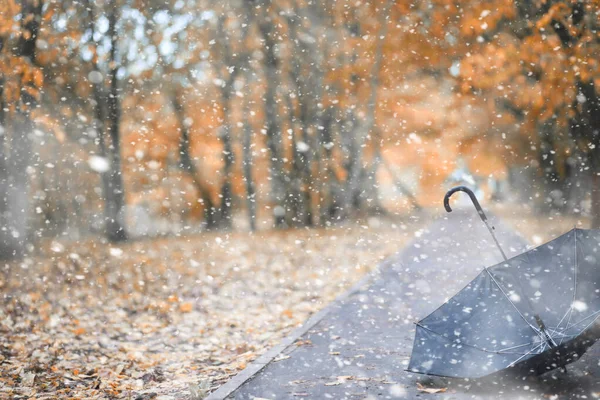 Őszi park az első hóban — Stock Fotó
