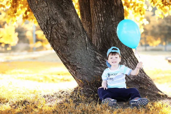 Küçük çocuk bir parkta yürüyüş — Stok fotoğraf